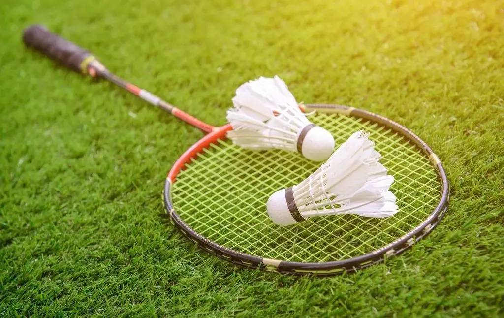 提供了一个 提供了一个